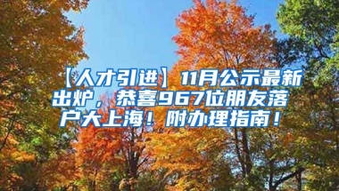 【人才引进】11月公示最新出炉，恭喜967位朋友落户大上海！附办理指南！