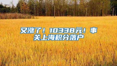 又涨了！10338元！事关上海积分落户