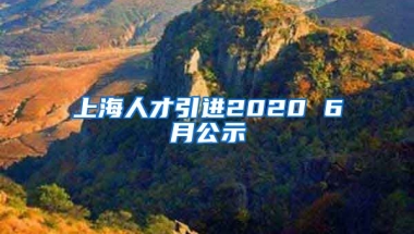 上海人才引进2020 6月公示