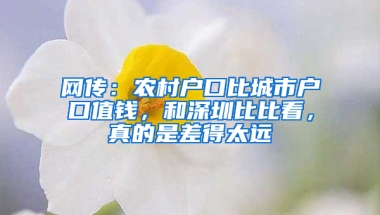 网传：农村户口比城市户口值钱，和深圳比比看，真的是差得太远