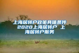 上海居转户政策具体条件 2020上海居转户 上海居转户服务