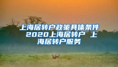 上海居转户政策具体条件 2020上海居转户 上海居转户服务