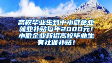 高校毕业生到中小微企业就业补贴每年2000元！小微企业新招高校毕业生有社保补贴！