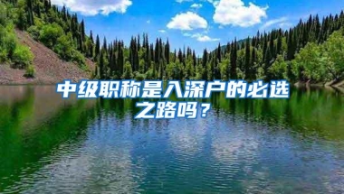 中级职称是入深户的必选之路吗？