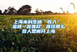 上海本科生晒“收入”，金额一言难尽，难怪那么多人想离开上海