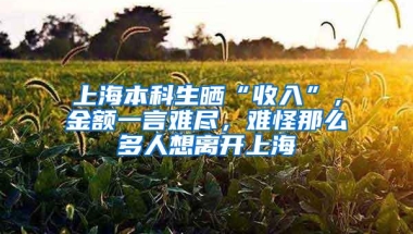 上海本科生晒“收入”，金额一言难尽，难怪那么多人想离开上海