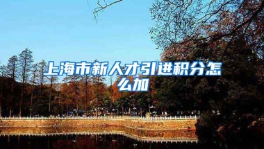 上海市新人才引进积分怎么加