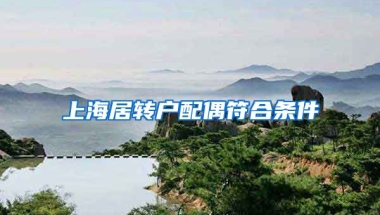 上海居转户配偶符合条件