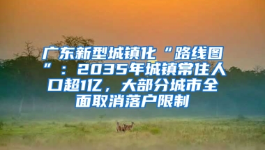 广东新型城镇化“路线图”：2035年城镇常住人口超1亿，大部分城市全面取消落户限制