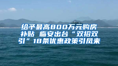 给予最高800万元购房补贴 临安出台“双招双引”18条优惠政策引凤来