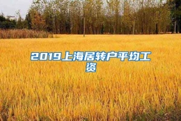 2019上海居转户平均工资