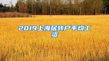 2019上海居转户平均工资