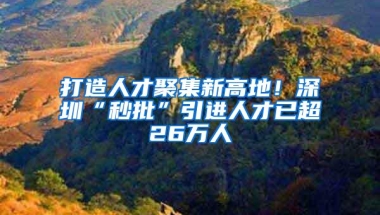 打造人才聚集新高地！深圳“秒批”引进人才已超26万人