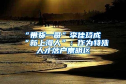 “带货一哥”李佳琦成“新上海人”：作为特殊人才落户崇明区