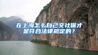 在上海怎么自己交社保才是符合法律规定的？