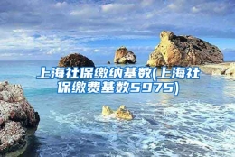 上海社保缴纳基数(上海社保缴费基数5975)