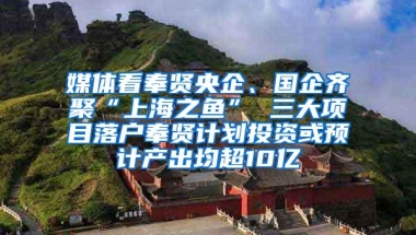 媒体看奉贤央企、国企齐聚“上海之鱼” 三大项目落户奉贤计划投资或预计产出均超10亿