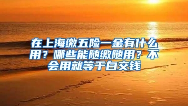 在上海缴五险一金有什么用？哪些能随缴随用？不会用就等于白交钱