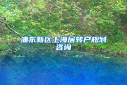 浦东新区上海居转户规划咨询