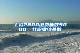 工资2800缴费基数5000，社保缴纳基数