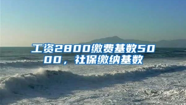 工资2800缴费基数5000，社保缴纳基数