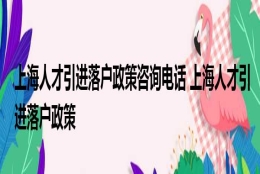 上海人才引进落户政策咨询电话 上海人才引进落户政策