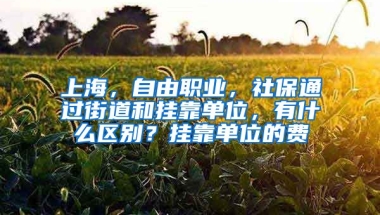 上海，自由职业，社保通过街道和挂靠单位，有什么区别？挂靠单位的费