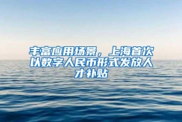 丰富应用场景，上海首次以数字人民币形式发放人才补贴