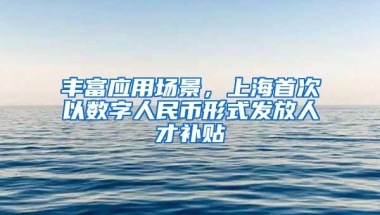 丰富应用场景，上海首次以数字人民币形式发放人才补贴