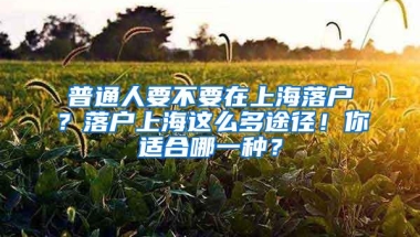 普通人要不要在上海落户？落户上海这么多途径！你适合哪一种？