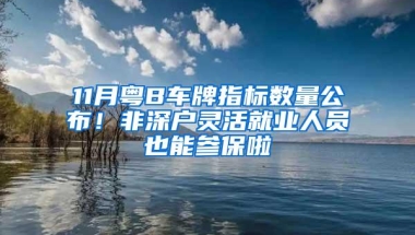 11月粤B车牌指标数量公布！非深户灵活就业人员也能参保啦