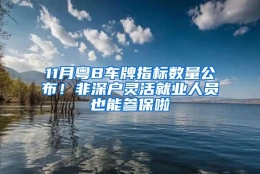 11月粤B车牌指标数量公布！非深户灵活就业人员也能参保啦