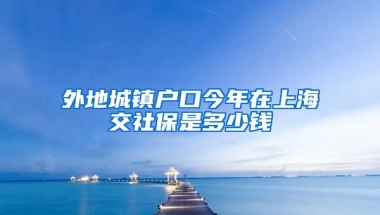 外地城镇户口今年在上海交社保是多少钱