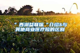 ”西湖益联保“介绍&与其他商业医疗险的区别