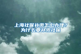 上海社保补缴怎么办理？为什么要补缴社保