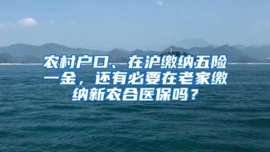 农村户口、在沪缴纳五险一金，还有必要在老家缴纳新农合医保吗？