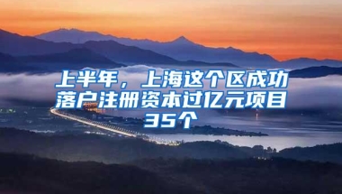 上半年，上海这个区成功落户注册资本过亿元项目35个