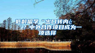 低龄留学“出口转内销“？中外合作项目成为一项选择