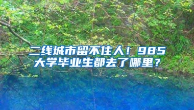 二线城市留不住人！985大学毕业生都去了哪里？