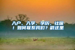 入户、入学、学历、社保！如何联系我们？戳这里