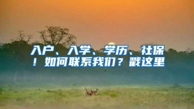 入户、入学、学历、社保！如何联系我们？戳这里