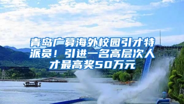 青岛广募海外校园引才特派员！引进一名高层次人才最高奖50万元