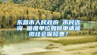 东营市人民政府 市民咨询 困难单位如何申请延缴社会保险费？