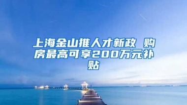 上海金山推人才新政 购房最高可享200万元补贴