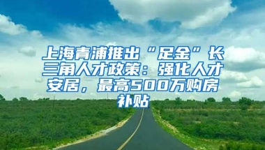 上海青浦推出“足金”长三角人才政策：强化人才安居，最高500万购房补贴