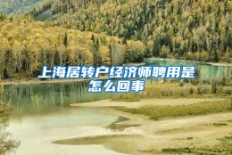 上海居转户经济师聘用是怎么回事