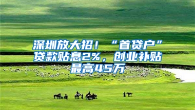 深圳放大招！“首贷户”贷款贴息2%，创业补贴最高45万