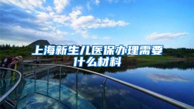 上海新生儿医保办理需要什么材料