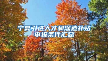 宁夏引进人才和深造补贴申报条件汇总