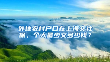 外地农村户口在上海交社保，个人最少交多少钱？